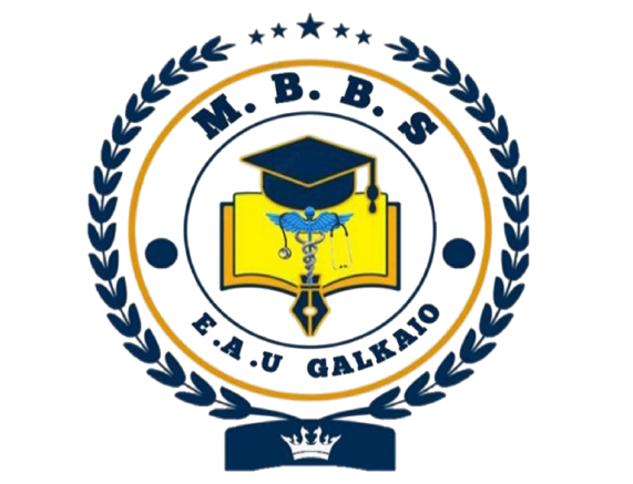 Faculty of Medicine